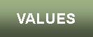Text Box: VALUES